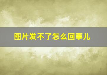 图片发不了怎么回事儿