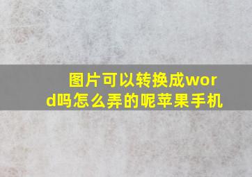 图片可以转换成word吗怎么弄的呢苹果手机