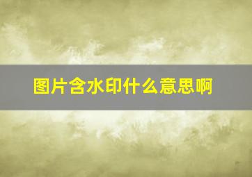 图片含水印什么意思啊