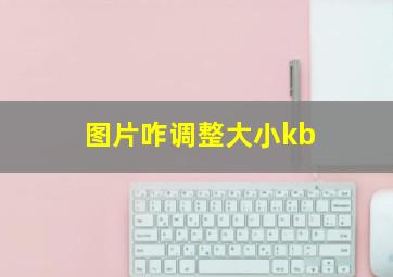 图片咋调整大小kb