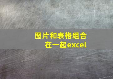 图片和表格组合在一起excel