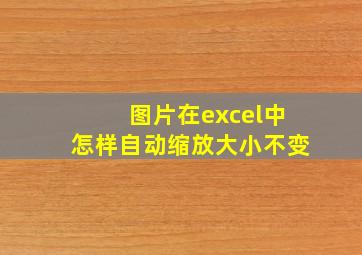 图片在excel中怎样自动缩放大小不变