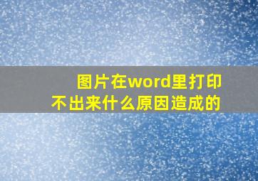 图片在word里打印不出来什么原因造成的