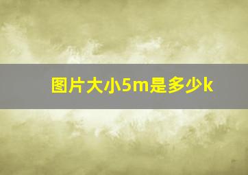 图片大小5m是多少k