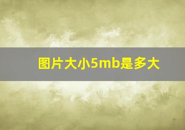 图片大小5mb是多大