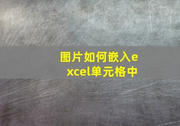 图片如何嵌入excel单元格中