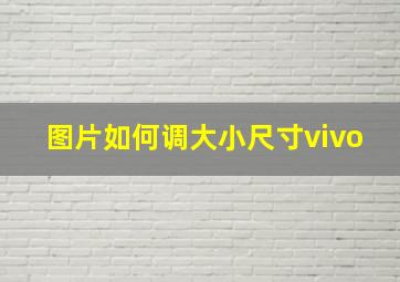 图片如何调大小尺寸vivo