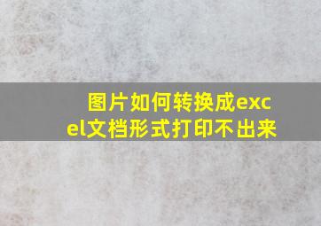 图片如何转换成excel文档形式打印不出来