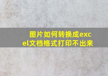 图片如何转换成excel文档格式打印不出来