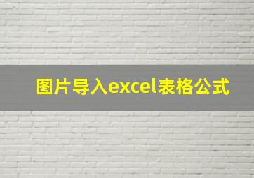 图片导入excel表格公式