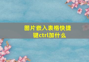 图片嵌入表格快捷键ctrl加什么