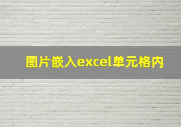 图片嵌入excel单元格内