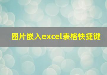 图片嵌入excel表格快捷键