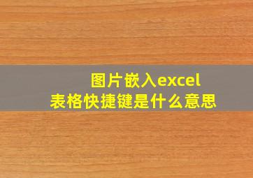 图片嵌入excel表格快捷键是什么意思