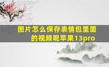 图片怎么保存表情包里面的视频呢苹果13pro