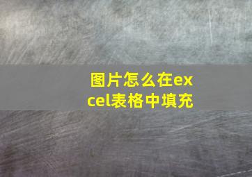 图片怎么在excel表格中填充