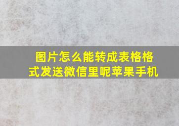 图片怎么能转成表格格式发送微信里呢苹果手机