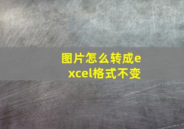 图片怎么转成excel格式不变