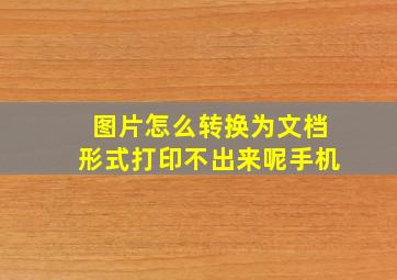 图片怎么转换为文档形式打印不出来呢手机