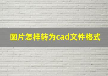 图片怎样转为cad文件格式