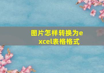 图片怎样转换为excel表格格式