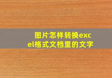 图片怎样转换excel格式文档里的文字