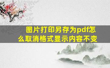 图片打印另存为pdf怎么取消格式显示内容不变