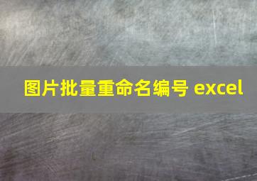 图片批量重命名编号 excel