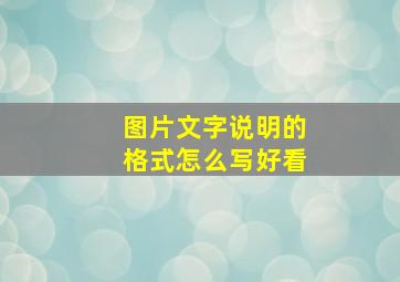 图片文字说明的格式怎么写好看