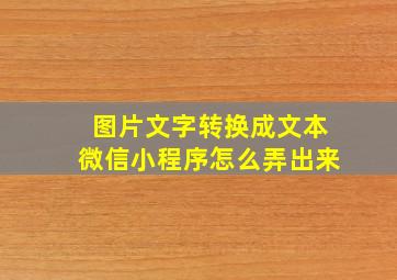 图片文字转换成文本微信小程序怎么弄出来