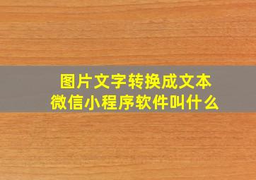 图片文字转换成文本微信小程序软件叫什么