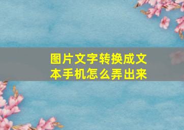 图片文字转换成文本手机怎么弄出来