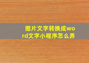 图片文字转换成word文字小程序怎么弄