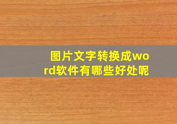 图片文字转换成word软件有哪些好处呢