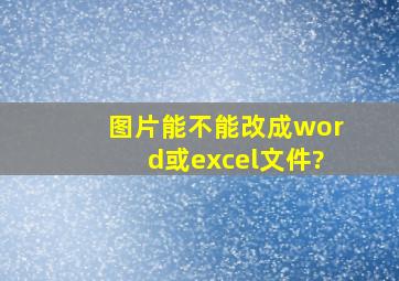 图片能不能改成word或excel文件?