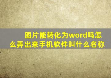 图片能转化为word吗怎么弄出来手机软件叫什么名称