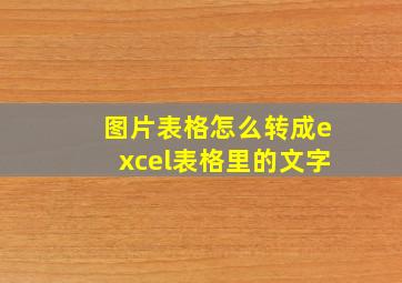 图片表格怎么转成excel表格里的文字