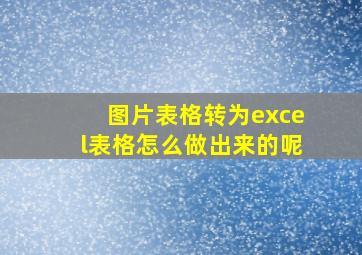 图片表格转为excel表格怎么做出来的呢