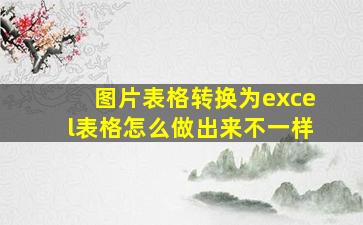 图片表格转换为excel表格怎么做出来不一样