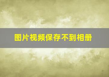 图片视频保存不到相册