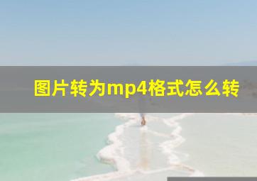 图片转为mp4格式怎么转