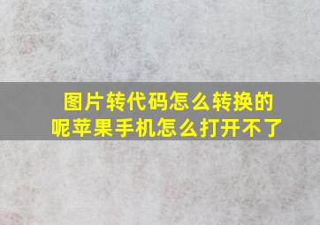 图片转代码怎么转换的呢苹果手机怎么打开不了