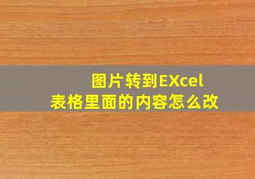 图片转到EXcel表格里面的内容怎么改