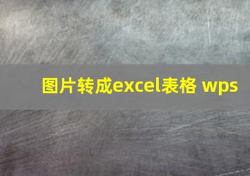 图片转成excel表格 wps