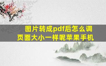 图片转成pdf后怎么调页面大小一样呢苹果手机