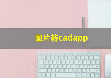 图片转cadapp