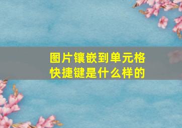 图片镶嵌到单元格快捷键是什么样的