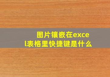 图片镶嵌在excel表格里快捷键是什么