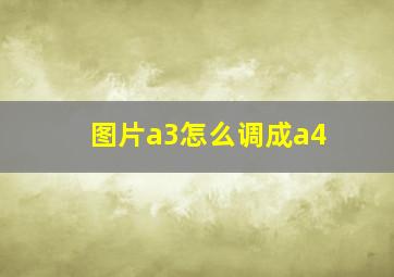 图片a3怎么调成a4