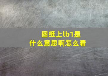 图纸上lb1是什么意思啊怎么看